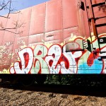IMG_8771