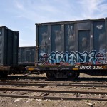 IMG_9345