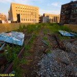 High Line 2007