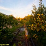 High Line 2007