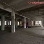 Hopeless Warehouse
