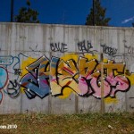 Gas Tank Wall