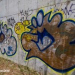 Gas Tank Wall