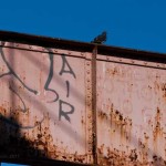 Air Suicide Spots