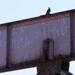 Air Suicide Spots