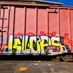Bushwick Yard 2012