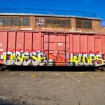 Bushwick Yard 2012