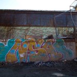 Bushwick Yard 2012