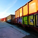 Bushwick Yard 2012