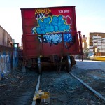 Bushwick Yard 2012