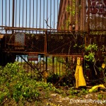 Glenwood Power Plant 2012