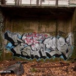 Maksim Gelman’s short lived life in Graffiti