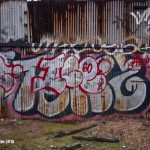 Maksim Gelman’s short lived life in Graffiti