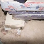 Staten Island Smash And Grab: The pilfered apartment building.