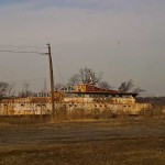 The Mary Murray