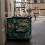 Vancouver Alley Fever