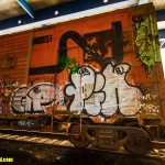 Canadian National Abandoned Railroad Cars in the Bronx
