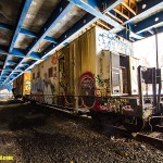 Canadian National Abandoned Railroad Cars in the Bronx