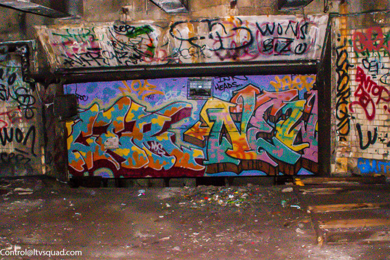 Myrtle Ave Abandoned Station and Mezzanine – LTV Squad