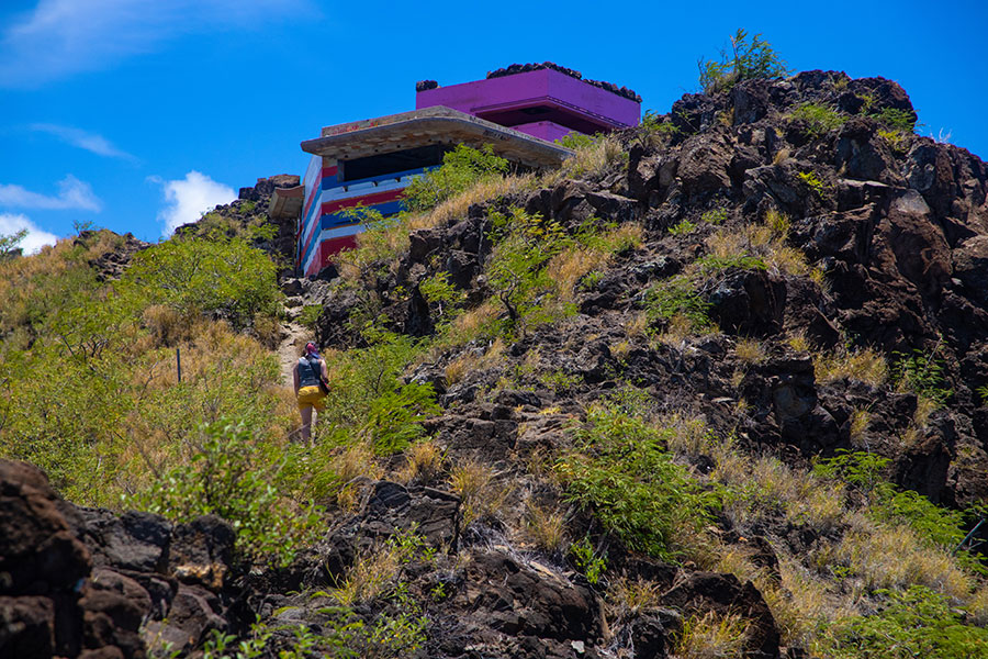 Photo looking up hawai'i mountainside